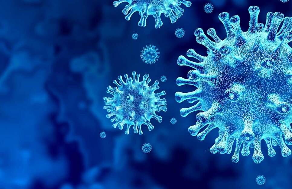 شانزدهمین روز بدون فوتی کرونا در ایلام ثبت شد