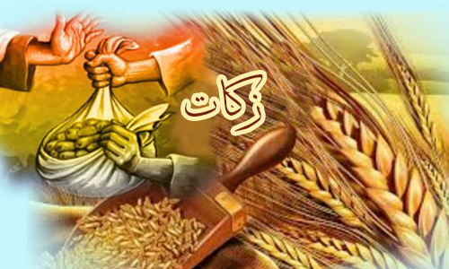 تحقق ۱۰۴ درصدی پرداخت زکات در مازندران