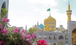 مشهد الرضا مسرور میلاد علی مولا (ع)