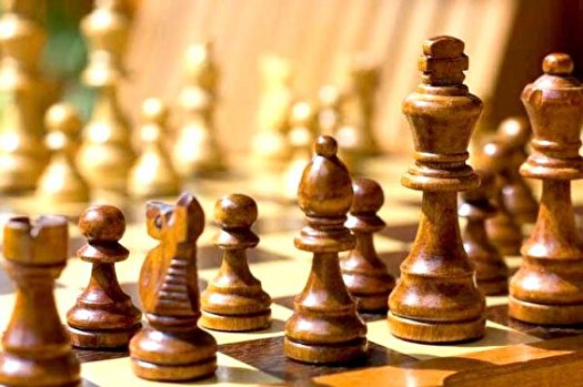 سکان تیم ملی شطرنج در دست مربی ارمنستانی