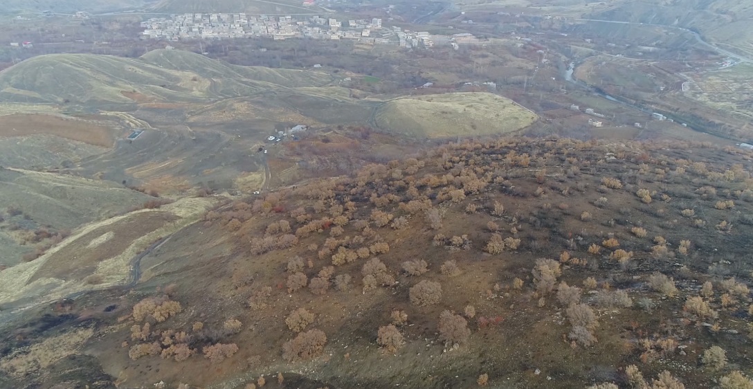 واگذاری بیش از ۵۲ هزار هکتار از مراتع کردستان به بهره برداران