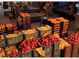 افزایش سهمیه میوه شب عید استان البرز