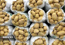 کشف احتکار ۱۵۰ تن سیبمینی در نهاوند