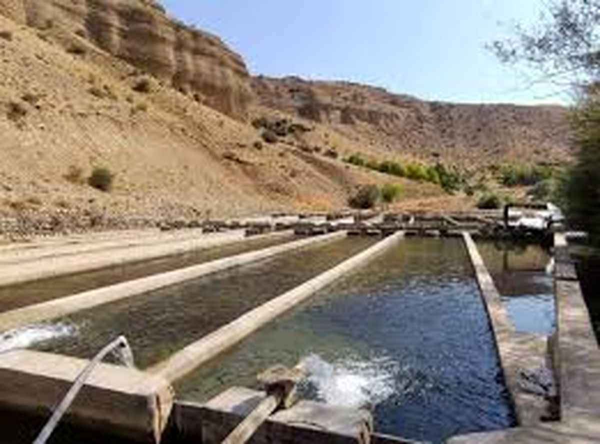 آماری از پرورش ماهی با نصب قفس در آب