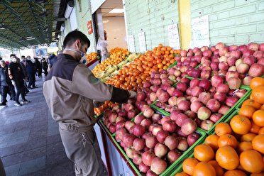 عرضه مستقیم محصولات کشاورزی آذربایجان غربی در تهران