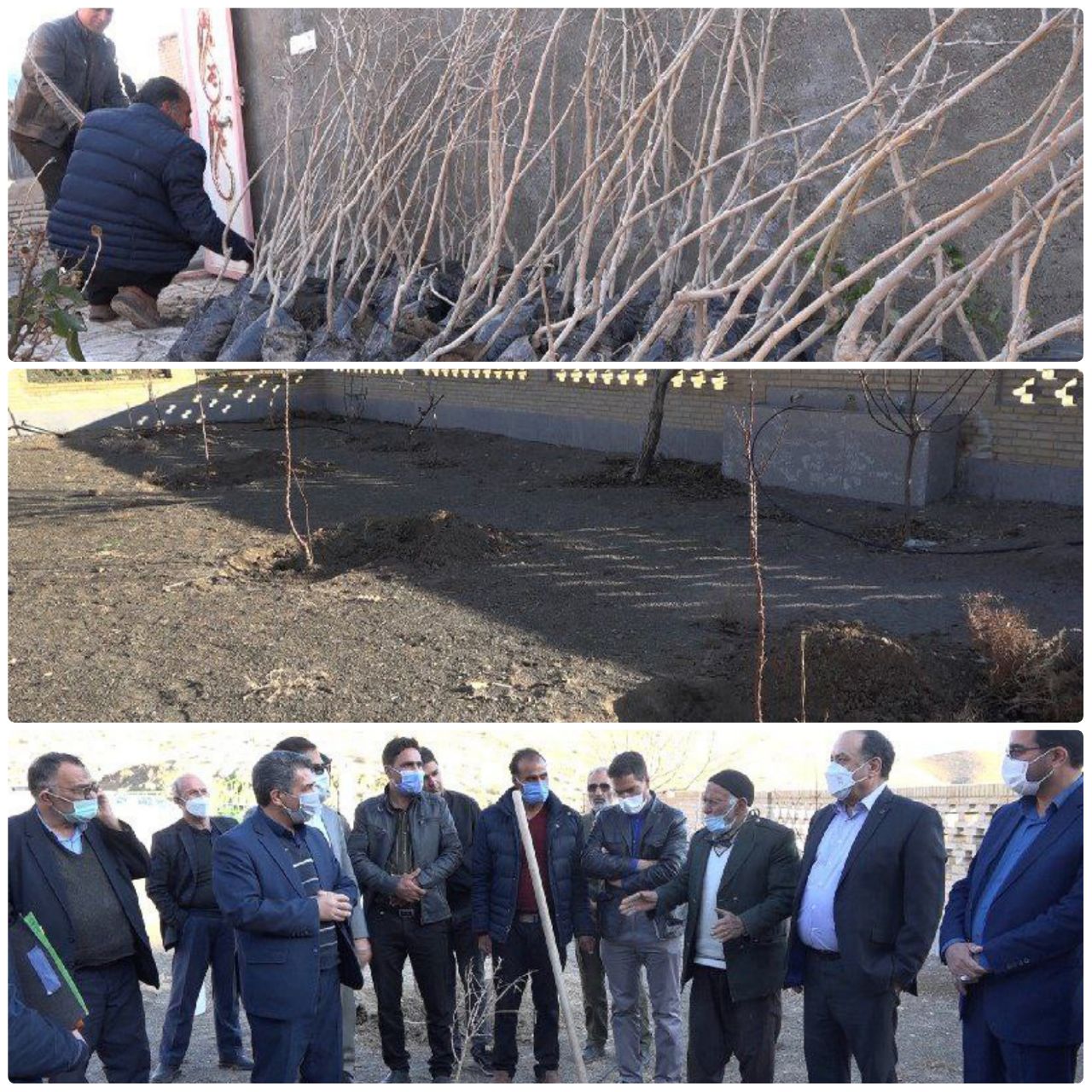 کاشت۱۳۰۰نهال شاه توت در هشت روستای کوهپایه ای فردوس