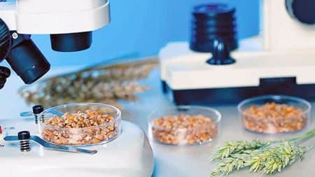 تامین امنیت غذایی با فناوریهای نوین