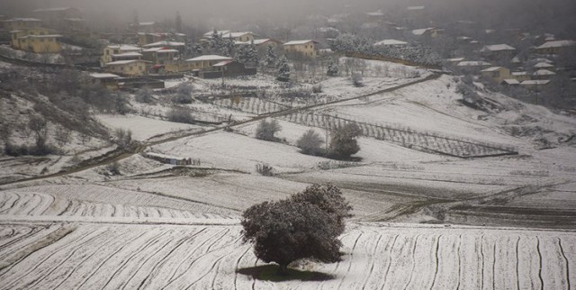 یخبندان شبانه در مازندران