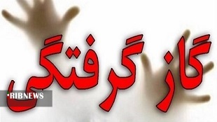 مرگ خاموش ۱۵ لرستانی, امسال