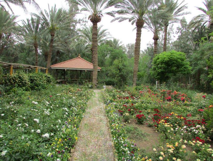 بافق، اولویت گردشگری طبیعی استان یزد