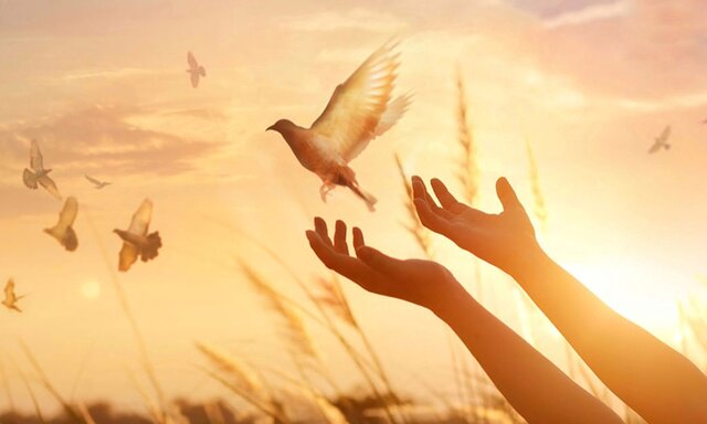 رهایی ۱۲ زندانی با آغاز جشن دوازده بهمن