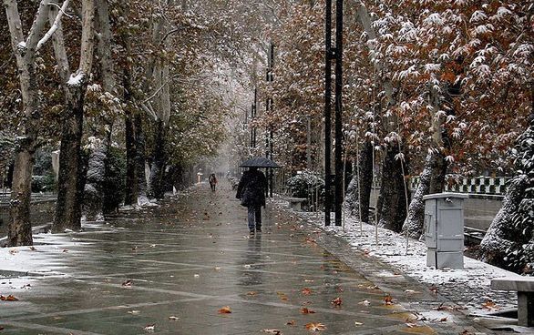 چتر باران و سرمای زمستانی در مازندران
