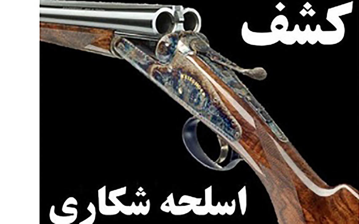 کشف ۴ قبضه سلاح شکاری غیر مجاز در