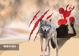 گرگ آدمخوار به دام افتاد