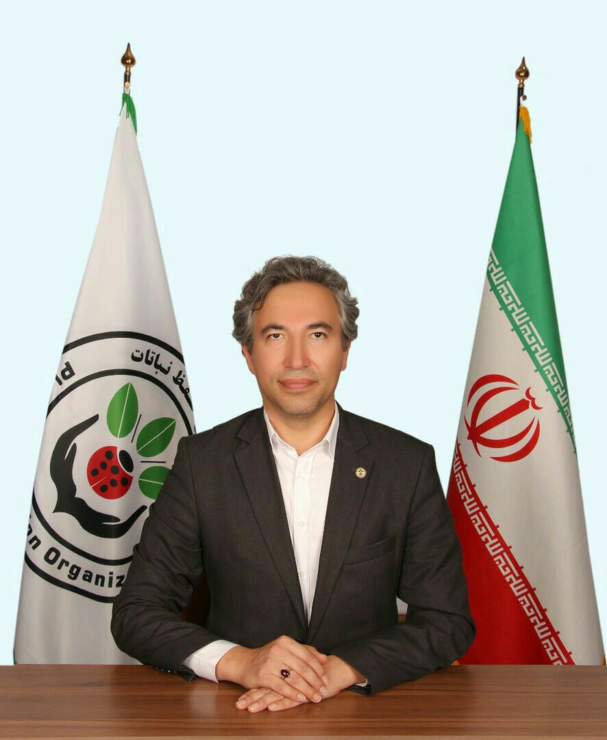 انگل گل جالیز در مزارع گلستان