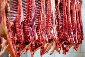 برخورد قضایی با کشتار و توزیع غیر مجاز گوشت قرمز در خرمشهر