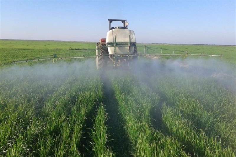 مبارزه علیه علفهای هرز در مزارع قیروکارزین
