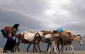 ممنوعیت کوچ زودهنگام عشایر به چهارمحال و بختیاری
