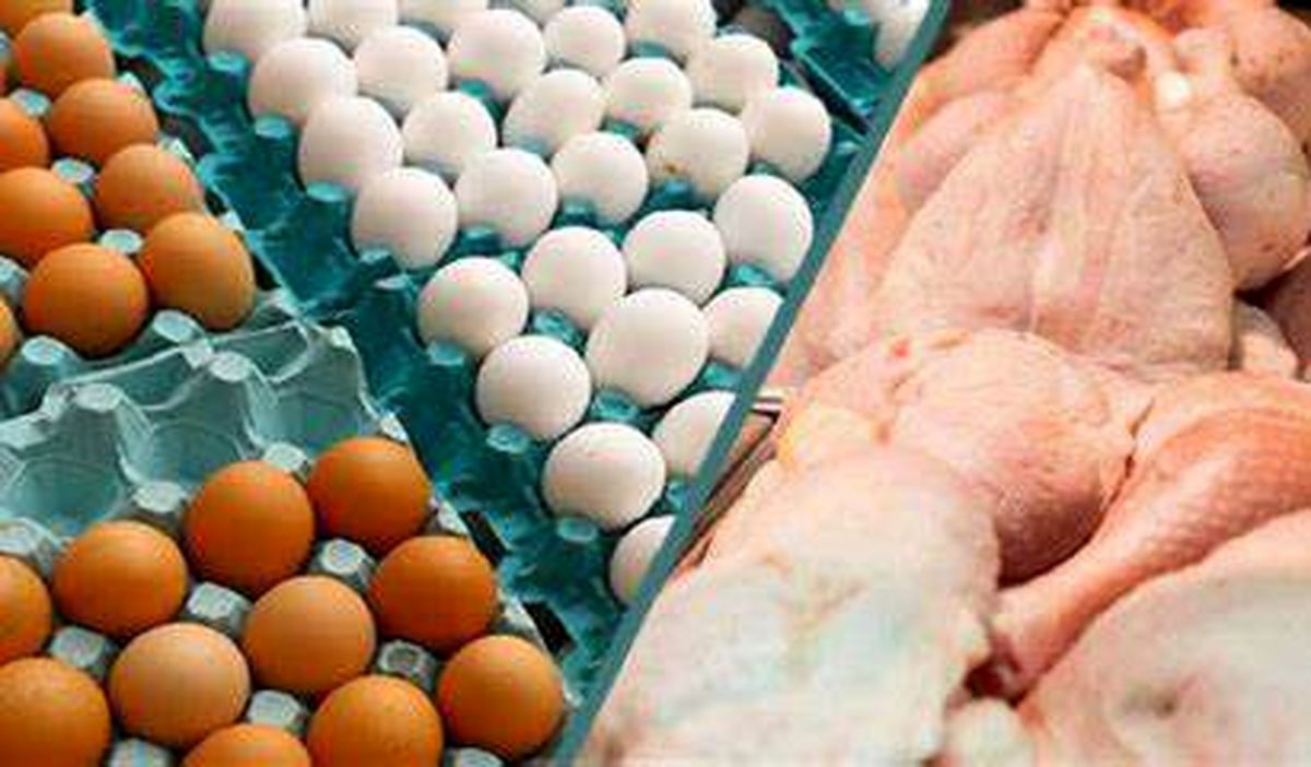 قیمت مرغ و تخممرغ در بازار همدان هیچ گونه افزایش قیمت نخواهد داشت