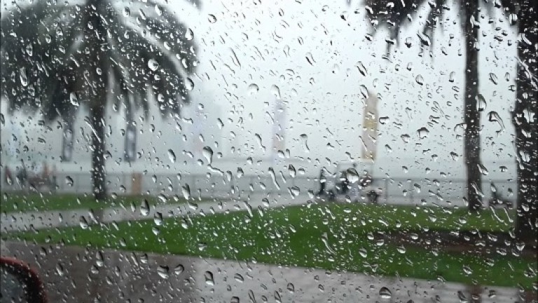 بارش رحمت الهی در استان بوشهر