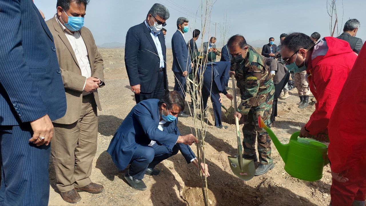 جشن بزرگ درختکاری با کاشت هزار اصله نهال در بردسکن