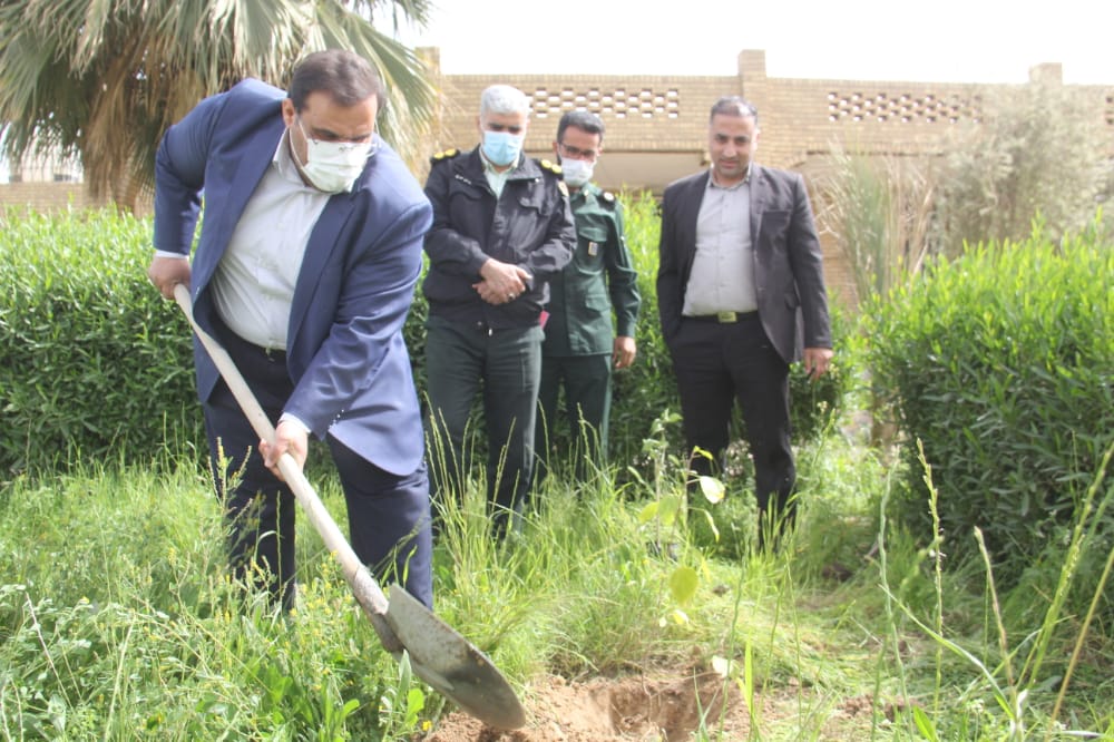 کاشت نهال در طبیعت خوزستان