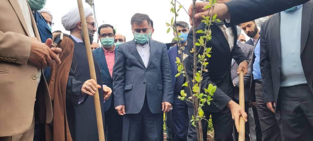 توسعه فضای سبز در مازندران با اجرای سه طرح ویژه