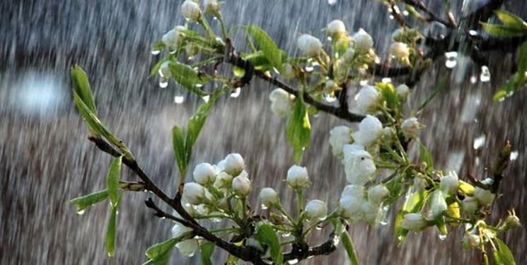 ادامه بارش باران در روزهای پایانی سال ۱۴۰۰ در گیلان