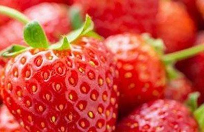 توت، میوهای سرشار از آنتیاکسیدان