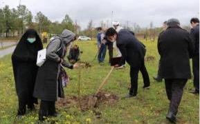 کاشت ۵۰۰ اصله نهال در طبیعت گیلان