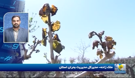 حمایت از کشاورزان خسارت دیده فیلم
