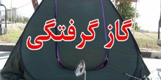 گازگرفتگی ۷ نفر مسافر نوروزی در پارک فدک اصفهان