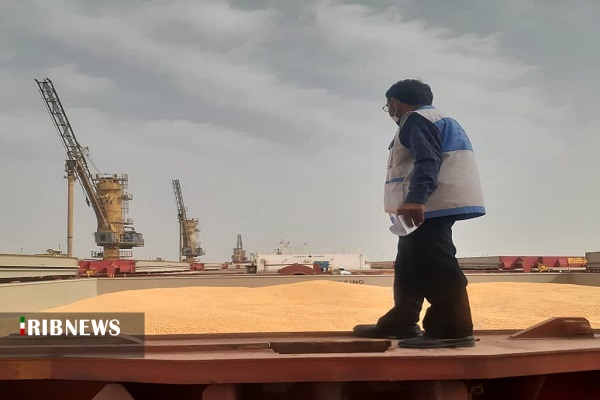 نظارت دامپزشکی خوزستان بر واردات خوراک دام و طیور