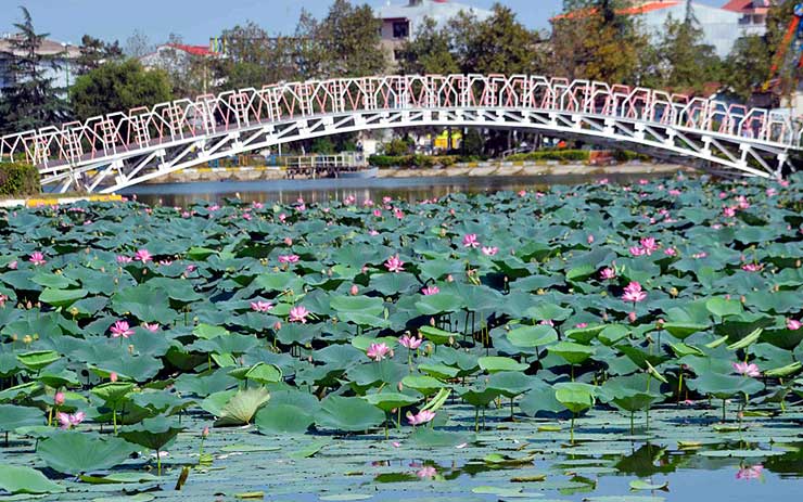 سفر به دیار بکر گیلان