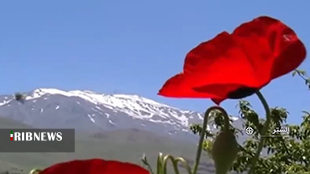 الشتر زیبا بهشت لرستان