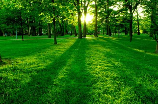 آتش سوزی مهمترین تهدید برای طبیعت در تعطیلات نوروزی