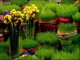 محل‌های رهاسازی سبزه و ماهی عید در شهرکرد