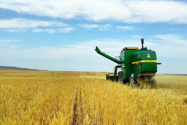 لزوم آمادگی برای برداشت محصولات کشاورزی در حمیدیه
