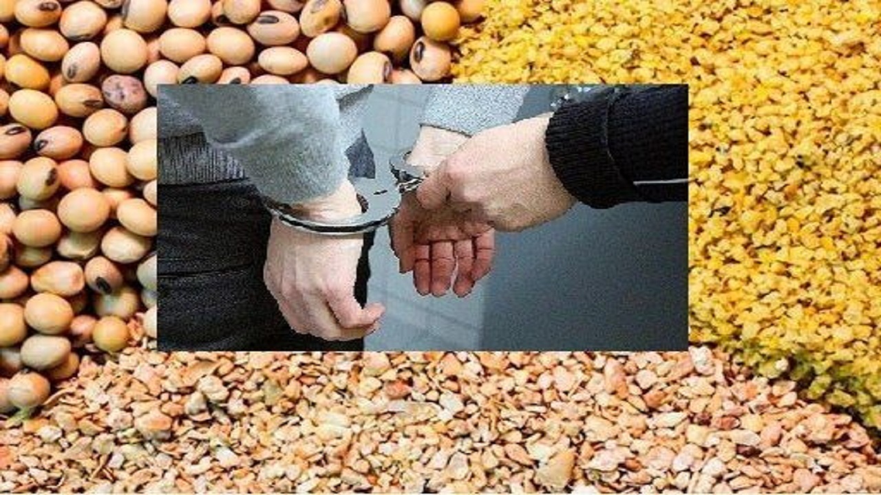 کشف و ضبط سه تن نهاده دامی قاچاق در ساری