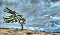 رگبار باران و وزش باد شدید در آذربایجان غربی