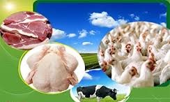صدور ۲۸ میلیون کیلوگرم فراورده خام دامی به خارج از کشور