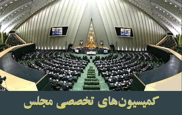 جلسات کمیسیونهای مجلس با حضور تعدادی از وزراء