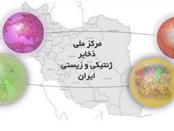 مرکز ذخایر ژنتیکی ایران به دنبال احیای گونه‌های در حال انقراض دام