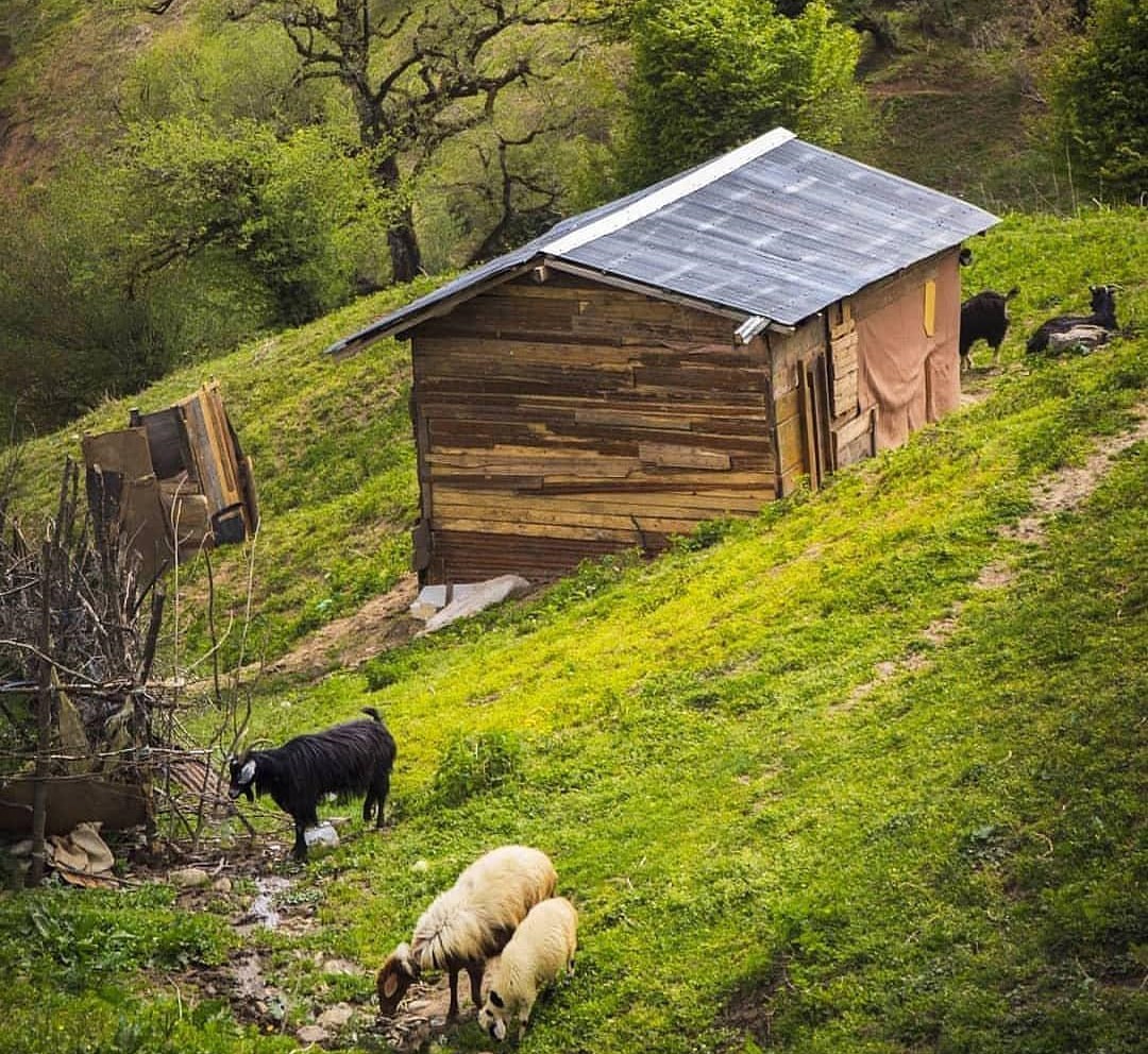 افزایش ۱۲ درجهای دمای هوای گیلان