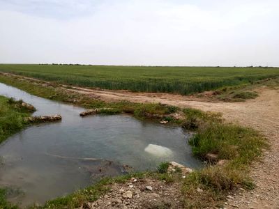 تامین آبی زمین‌های کشاورزی شمال شرق اهواز
