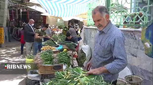 لرستان گنجینه گیاهان دارویی در قلب زاگرس