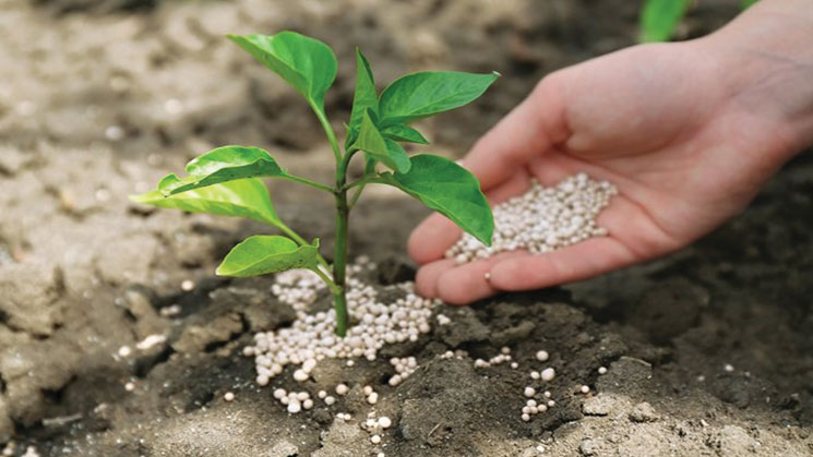 ایجاد ۲۷۰ پژوهشسرای دانشآموزی در حوزه گیاهان دارویی