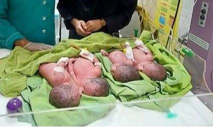 تولد نوزادان چهارقلو در خاتم