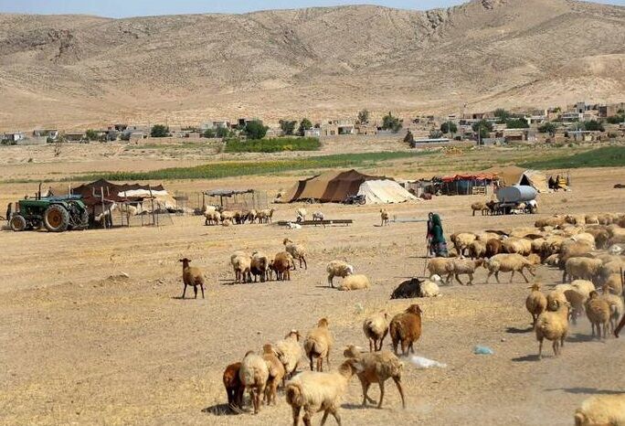 اقدامات مهم برای کاهش مشکلات عشایر در ایلام