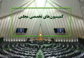 حضور وزیران ورزش و نیرو در جلسات کمیسیون‌های مجلس